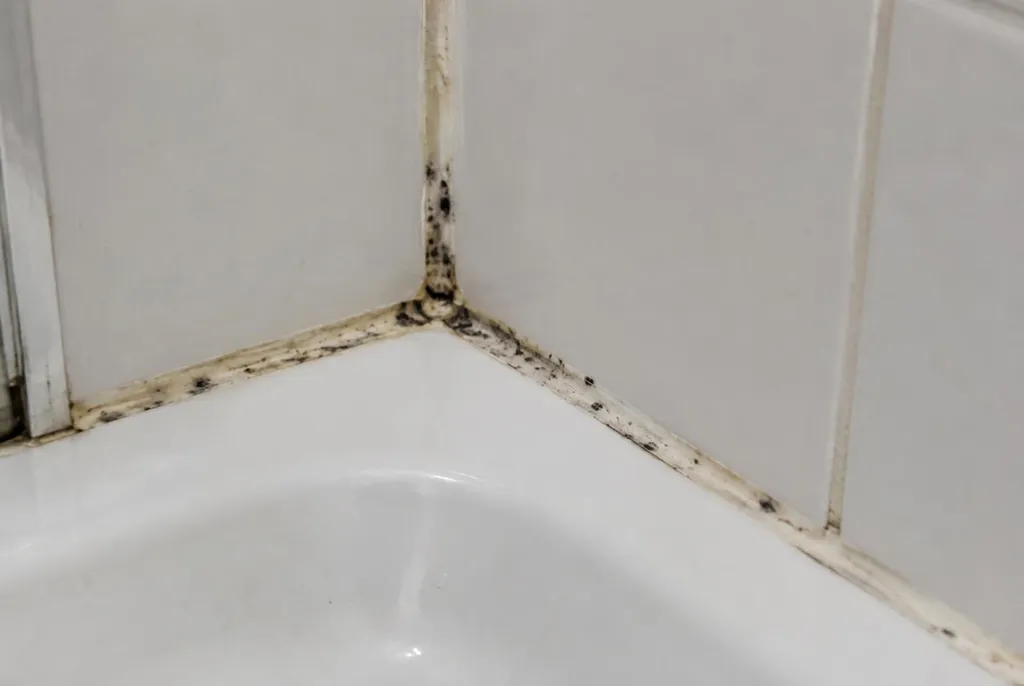 Kitbedrijf Voorschoten – beschimmelde kitranden